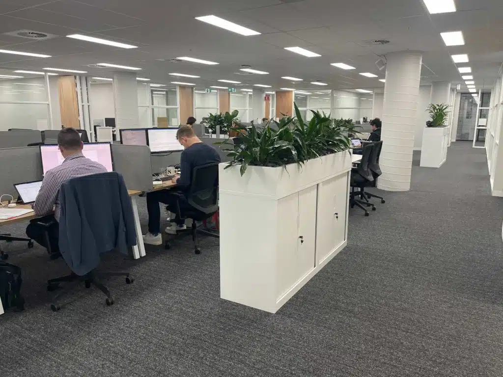 people working at dedicated office desks