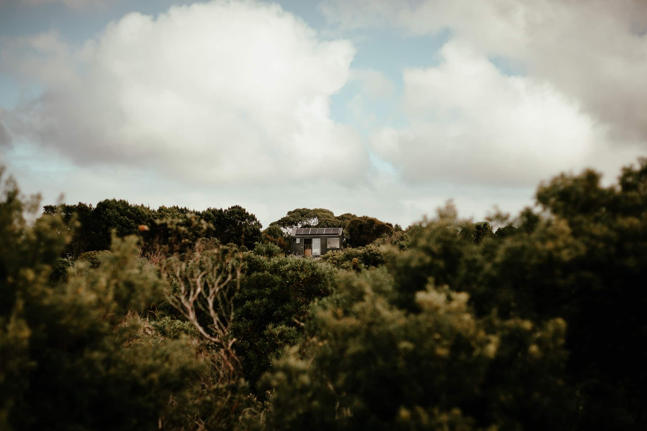 An Unyoked off-grid cabin surrounded by trees